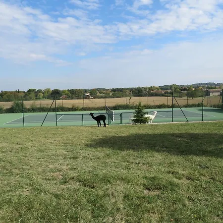 L'atelier D'azas Azas